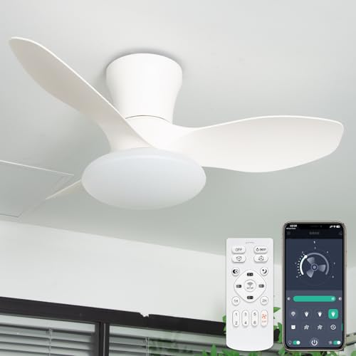 onriu」の人気商品一覧 | 安い商品を通販サイトから探す - 価格.com